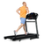 New SCHWINN SFT 4.3 TREADMILL 11757-JONSFT43 View 2