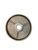Used Olympic Plate (Each) 25 lb 11649-S000149974 View 1