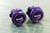 New SHOC Viper Visor Clips Purple 11726-PIAVIPERCLIPPU View 1