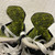 Used Bauer VAPOR 3X Junior Hockey Skate White/Black/Yellow Junior 03 11855-S000193550 View 2