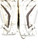 Used Warrior MESSIAH Goalie Leg Pads Senior White 34" 11860-S000300121 View 4