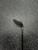 Used RAVE Mens Driver RH 11.0 Degree 11849-S000033347 View 4