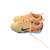 Used Nike Soccer Indoor Shoes Orange Junior 04.5 11479-S000408662 View 2