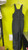 Used Outerwear Other Y Black LG 11831-S000031138 View 1
