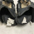 Used Reebok SC3 Junior Gloves Black 12" 11855-S000194778 View 3