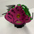 New A450 PARTY ANIMALS 11 LHT 11762-WILWBW10419511 View 1