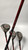 Used Callaway XR COMPLETE SET Mens Complete Set LH 12 Piece 11907-S000019642 View 5