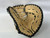 Used Rawlings GG ELITE BB/SB First Base RH Throw Tan 13" 11879-S000015759 View 1