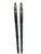 Used Rossignol X TOUR VENTURE Boys XC Ski/Binding 11776-S000392722 View 2