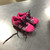Used Umbro Soccer Cleats Pink Youth 09.0 11479-S000410260 View 1