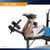 New Impex Utility Weight Bench 10801-IMPMWB-4491 View 4