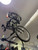 Used Raleigh M50 Mountain Bike Mens Black 43-47cm - 17-18" - MD Frame 11605-S000210653 View 3