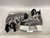 Used CCM VECTOR 3.0 Junior Hockey Skate Junior 03.5 11851-S000041047 View 4