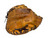 Used HATAKEYAMA Pro Model Baseball Catchers Mitt RH Throw Tan - Japan 11731-S000153755 View 2