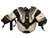 Used Bauer PRODIGY Youth Body Armor L/XL 11095-S000101245 View 1