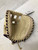 Used Marucci ASCENSION SERIES BB/SB Catchers RH Throw Tan 34" 11668-S000114941 View 1