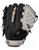 Mizuno Franchise, Fastpitch Glove, LH Throw, 12.5" fielders glove, fielders glove View 1