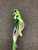Used STX ALIAS Men Atk/Mid Complete Stick Green 11162-C000443295 View 4