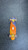 Used Penny PENNY BOARD Longboard Orange Regular 11831-S000031642 View 2