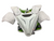 Used Maverik MAX Lacrosse Arm Pads/Guards White MD 11613-S000175352 View 1