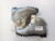 Used Rossignol Girls NNN XC Ski Boots Grey W 05-05.5 / JR 03.5-04 11779-S000201367 View 2