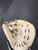 Used Wilson A09RF22DIFPCM BB/SB Catchers RH Throw White 34" 11726-S000291249 View 1