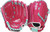 Rawlings Sure Catch Glove 10.5" Glove RHT #SCSB105PM View 1