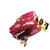 New Rawlings SCSB100PW-RHT 10" Glove 11730-RAWR00713834 View 1
