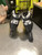 Used ADULT ROLLER SKATES Senior Rec Fitness Skates Black Senior 9 11884-S000058253 View 2