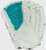 New Shut Out Fastpitch 12.5" RHT Glove 11855-RAWR00714677 View 1
