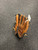 Used Adidas TR 1200 BB/SB Glove RH Throw Brown 12" 11726-S000291387 View 3