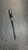 Used Marucci GAMER BB/SB Wood Bat 32" 11831-S000031702 View 1