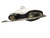 Used Womens Figure Skate White Senior 6 11866-S000032736 View 3