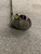 Used TIGHT LIES OVATION Mens Fairway Wood RH 4 Wood 11614-S000229453 View 3