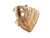 Used Wilson BALL HAWK Glove T-ball Brown 8" 11798-S000040757 View 2