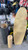 Used Balance Board Brown 11605-S000212583 View 2