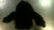Used GORILLA HEAD COVER Golf Accessory 11868-S000067234 View 1