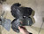 Used Riddell POWER SPK LB/FB FB Shoulder Pads Black XL 11605-S000212617 View 5