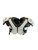 Used Xenith ELEMENT LINEMAN FB Shoulder Pads None XL 11512-S000232586 View 1