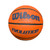 Used Wilson Evolution  Basketball Adult Indoor 11484-S000297460 View 1