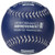 New 10OZ WEIGHTED SOFTBALL 11890-CHPCSB710CS View 1
