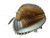 Used 44 PRO SIGNATURE BB/SB Catchers RH Throw Chocolate And Almond 33 1/2" 10313-S000279082 View 1