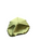 New Waggle Monster 11649-WAGMONSTER View 2