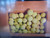 Used 100 Tennis Balls 11935-S000479420 View 1