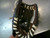 Used Rawlings PLAYER SERIES BB/SB Glove RH Throw Brown 9" 11339-S000198449 View 3