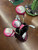 Used Wilson HOPE LADIES SET Womens Package Set RH Pink 11 Piece 11906-S000179698 View 1