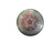 New Innova STAR MONARCH 2009 PDGA COLLECTORS 3 Disc Golf Driver Grey 170g 11768-S000232894 View 1