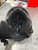 Used Smith Snowsport Helmet Adult Black SM 11337-S000479160 View 2