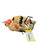 Used Rawlings GG ELITE 11.25 TAN/BLK BB/SB Glove RH Throw Tan 11 1/4" 11842-S000227075 View 1