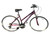 Used Schwinn THIRD AVENUE Hybrid/City Bike Womens Purple 53-55cm - MD Frame 11450-S000514546 View 1
